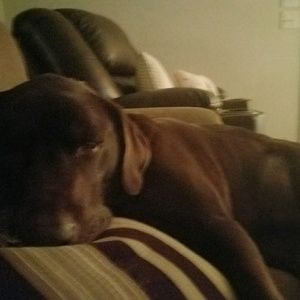 Meet your Posher, Sonya